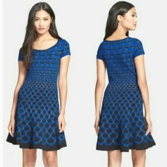 DVF Diane Von Furstenberg Fit and Flare Dress - Picture 1 of 14